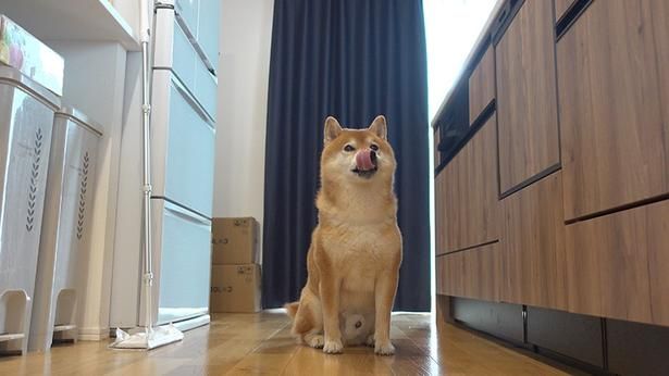 口元についた牛乳をペロリ