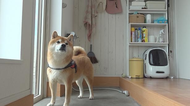 遊び足りない様子のはちくん