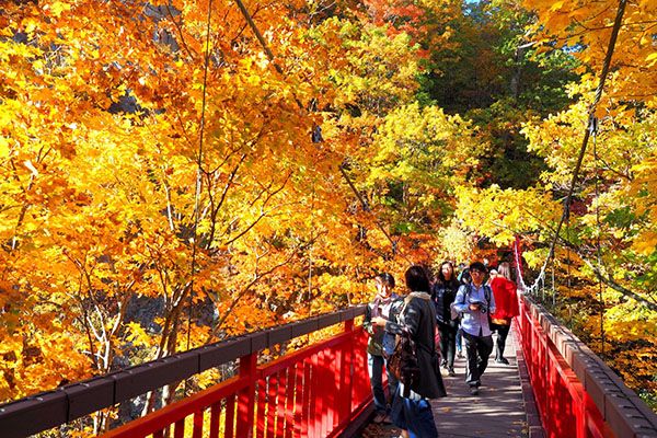 定山渓温泉街で「移動自体を楽しむ」新たな観光実証事業スタート！新型モビリティで絶景を風と感じる旅へ。