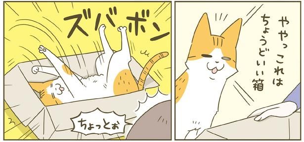 ややっこれは… （C）卵山玉子／KADOKAWA