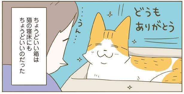 ちょうどいい箱は猫にもちょうどいい （C）卵山玉子／KADOKAWA