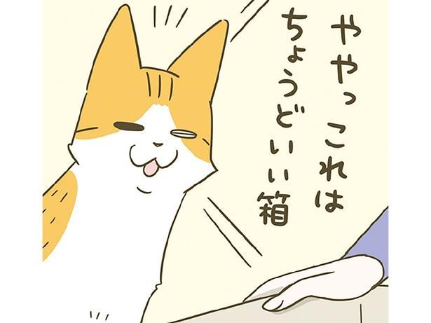 これはちょうどいい箱 （C）卵山玉子／KADOKAWA