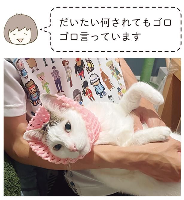 だいたい何されても （C）卵山玉子／KADOKAWA