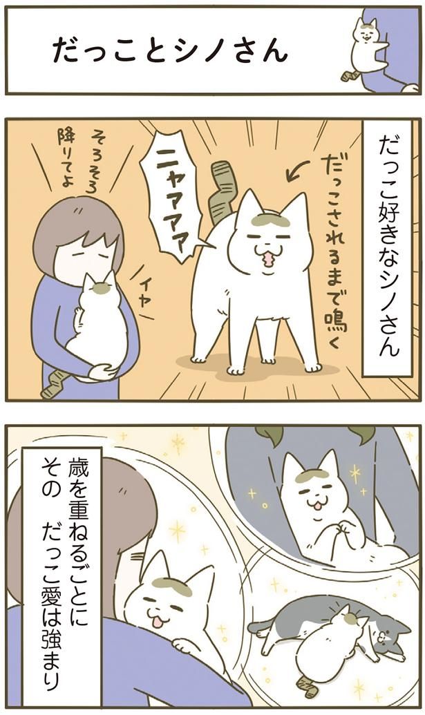 だっこ好きなシノさん （C）卵山玉子／KADOKAWA