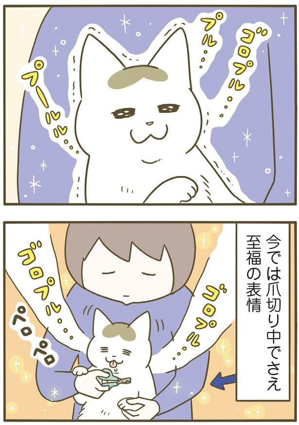 爪切り中でさえ （C）卵山玉子／KADOKAWA