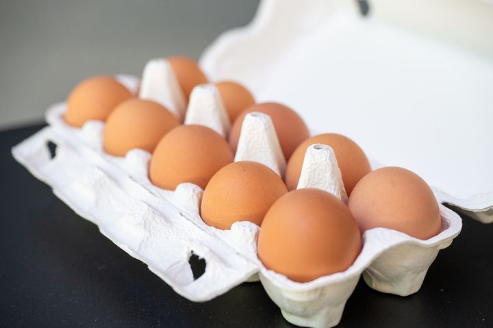 新鮮な卵を味わおう