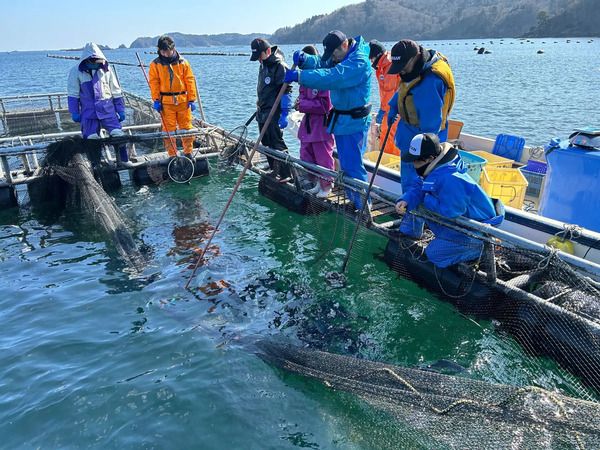【宮城県・山形県】高温耐性ギンザケを使用したサステナブルなおにぎり登場！一部セブン-イレブンで発売