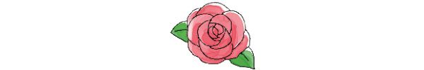 バラ（Rosa）