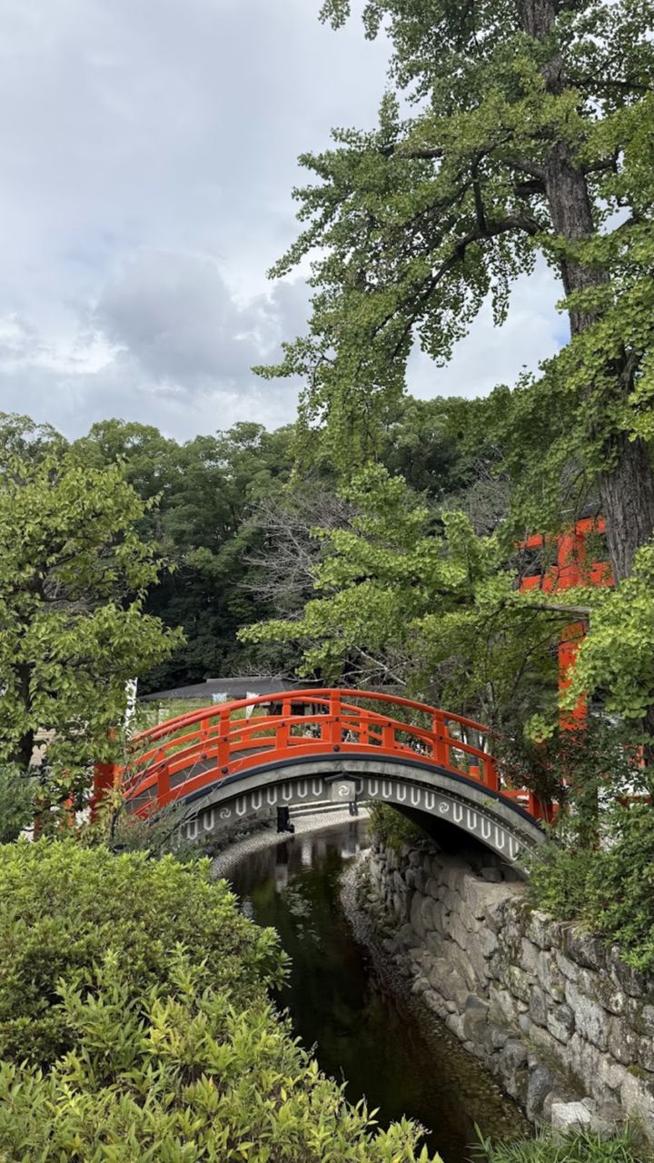 下鴨神社 御手洗池の輪橋（そりはし）