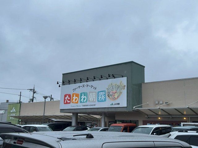  (319849)