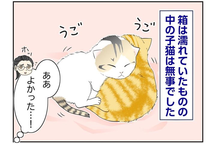 【マンガ・老猫日誌＃133】置き去りの子猫2匹に、救いの手が届いた日〜思い出の老猫日誌・桃姐と小論