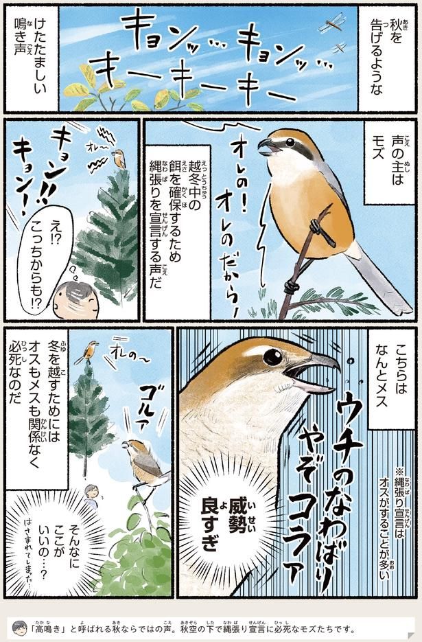 そんなにここがいいの…？ （C）piro piro piccolo／KADOKAWA