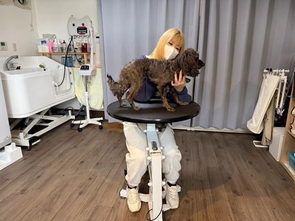 【東京都】愛犬のトリミングやエステを提供する「アイズドッグ日野店」オープン！駅から徒歩 3分