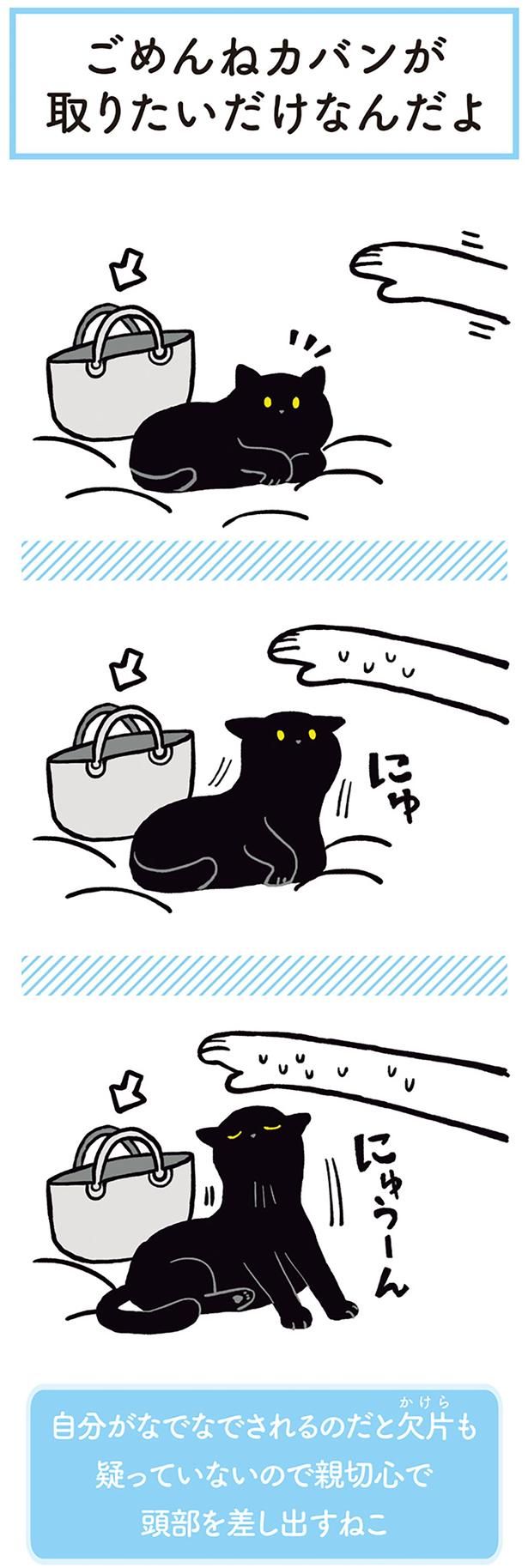 親切心で頭部を差し出すねこ （C）AKR／KADOKAWA