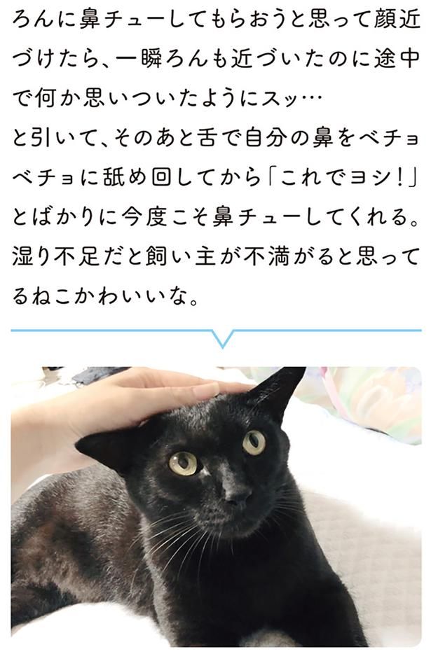 湿り不足だと飼い主が不満がると思ってるねこかわいいな （C）AKR／KADOKAWA