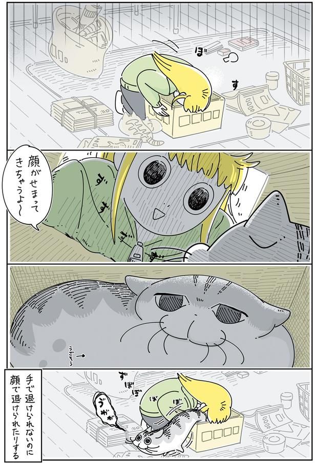 顔で退けられたりする （C）キュルZ／KADOKAWA