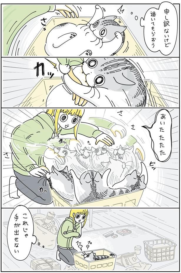 申し訳ないけど退いてもらおう （C）キュルZ／KADOKAWA