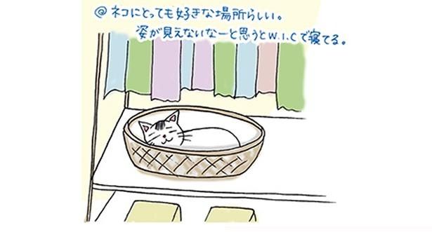 ネコにとっても好きな場所らしい (C)ゆるりまい／KADOKAWA