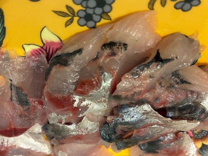 「ギョギョギョッの人」と朝ドラヒロインを混同する妻。ジェジェ……。【天然魚考】