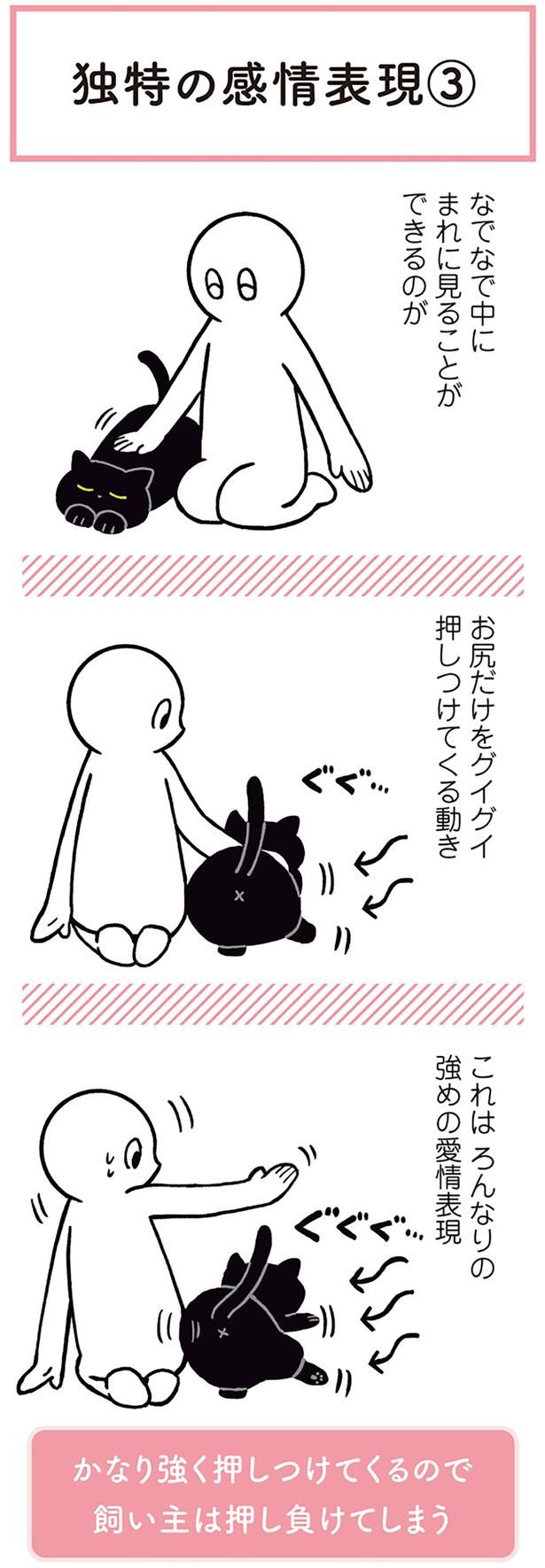 これはろんなりの強めの愛情表現 （C）AKR／KADOKAWA