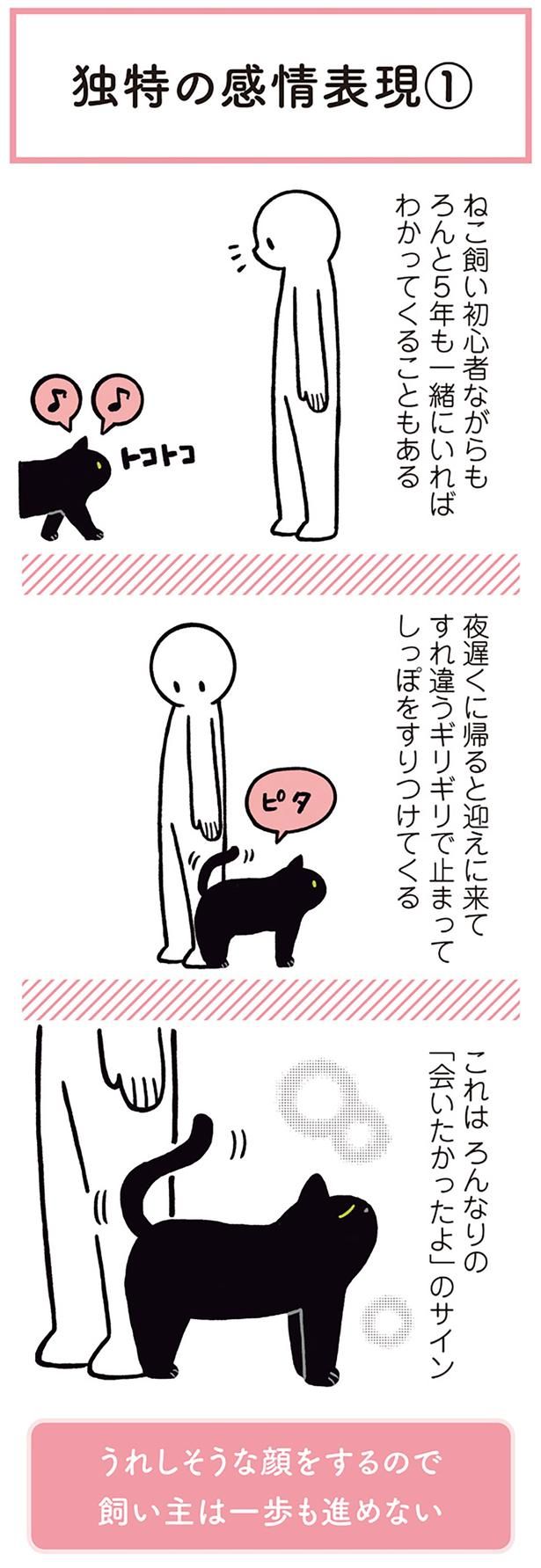 うれしそうな顔をするので飼い主は一歩も進めない （C）AKR／KADOKAWA