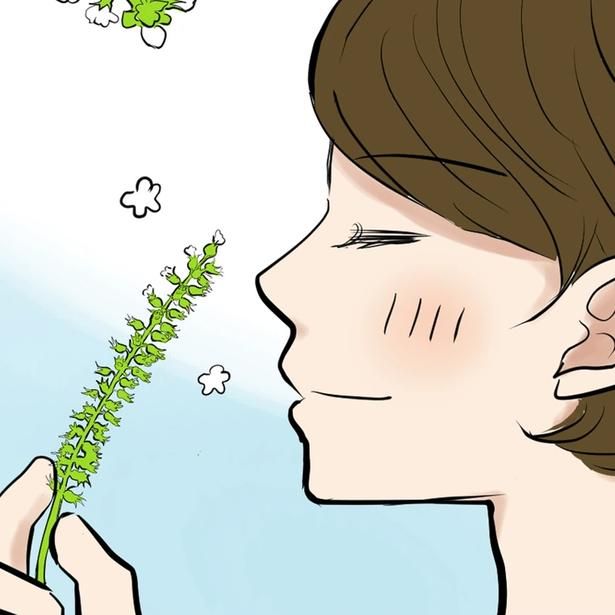 花もしそのいい香り （C）峯鳥子