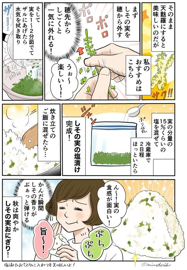 秋は爽やかしその実おにぎり！ （C）峯鳥子