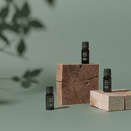 たまプラーザで長野の食や文化を体感する「たまプラーザ 長野フェスティバル」開催！