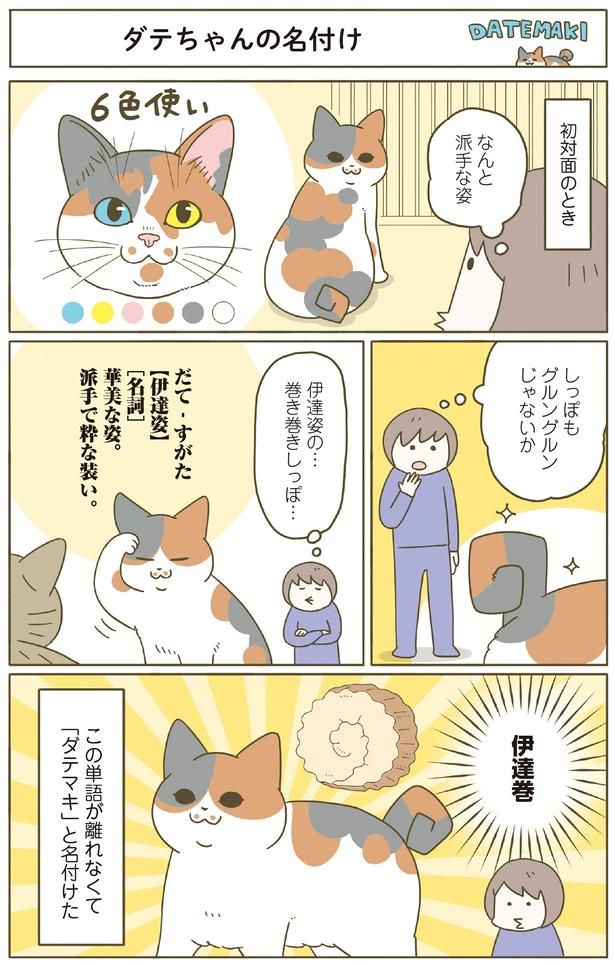 伊達巻！！ （C）卵山玉子／KADOKAWA
