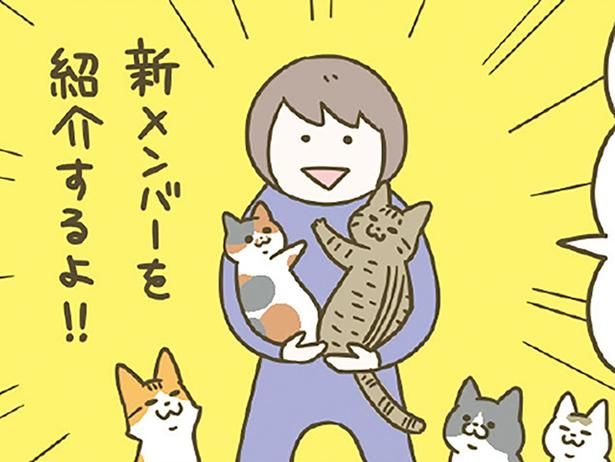 新メンバー！ （C）卵山玉子／KADOKAWA