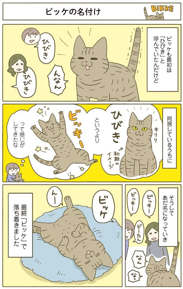 同居しているうちに （C）卵山玉子／KADOKAWA