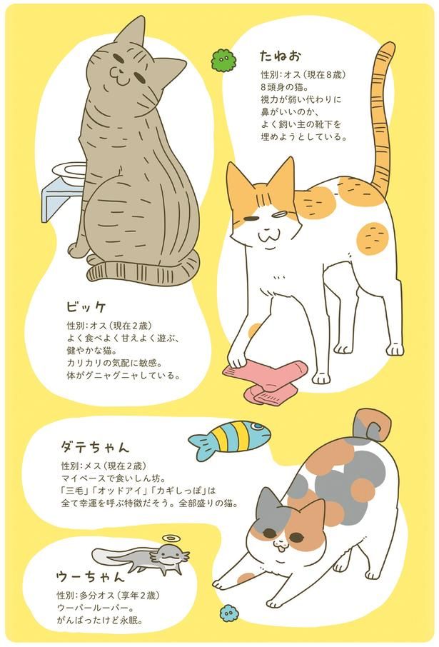 動物紹介 （C）卵山玉子／KADOKAWA