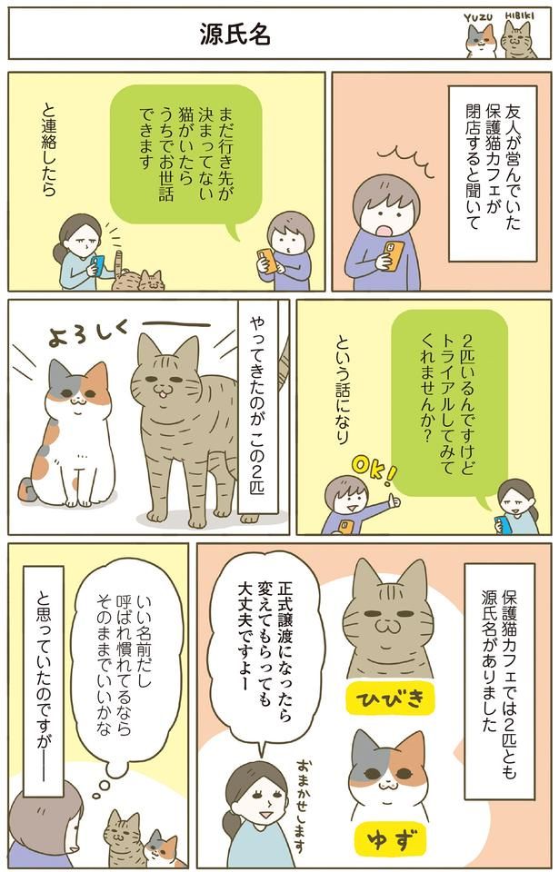 友人の保護猫カフェが閉店するので… （C）卵山玉子／KADOKAWA