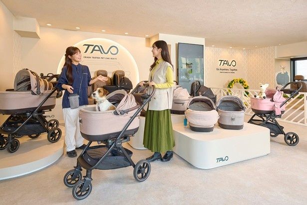 【写真】ペットカートレンタルで手軽に横浜の街ナカを散策