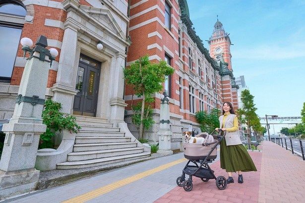 愛犬同伴の都市旅をサポートするOMOの新プロジェクト「愛犬都市旅宣言」