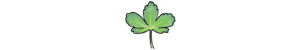 ゲンノショウコ（Geranium thunbergii）