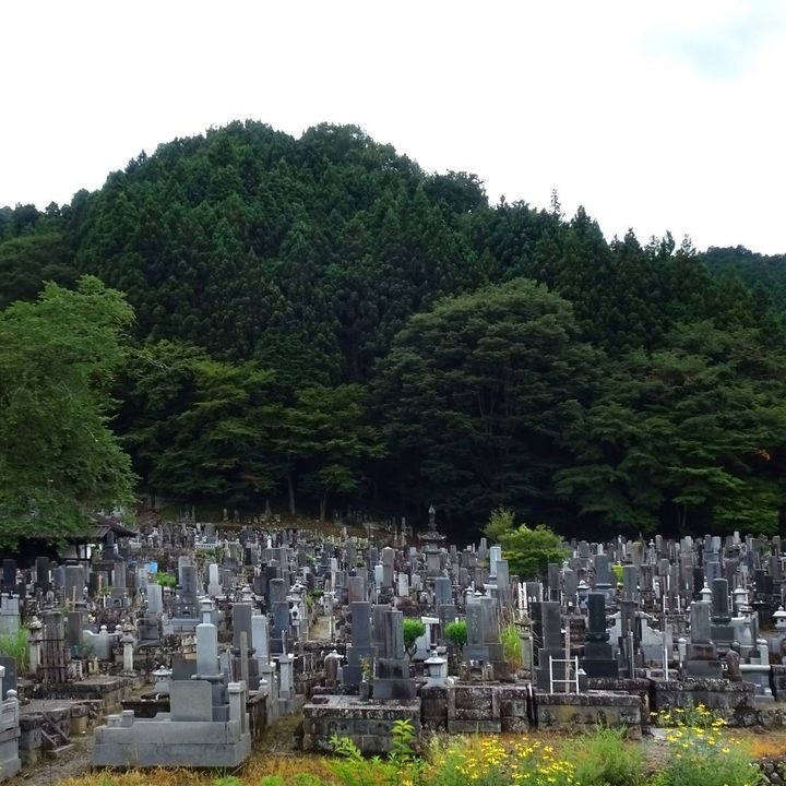 墓地