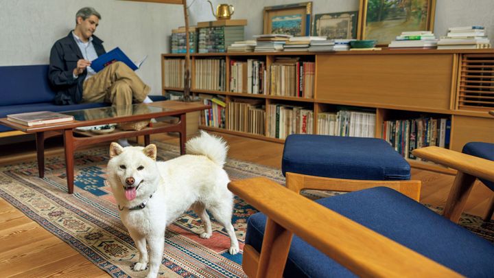 暮らしを整え、感性を刺激するクリエイターの犬たち