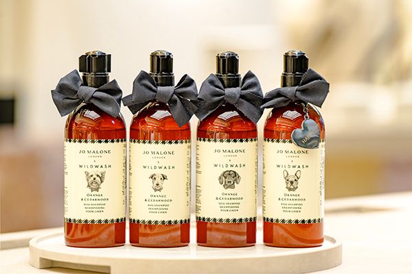 ドッグフレンドリーのジョー マローン ロンドン 代官山に愛犬用フォトブースが登場