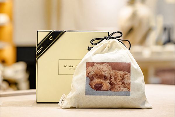 ドッグフレンドリーのジョー マローン ロンドン 代官山に愛犬用フォトブースが登場