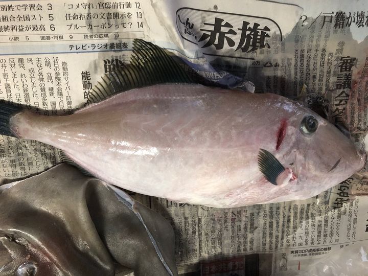 14. 皮をはぐ
