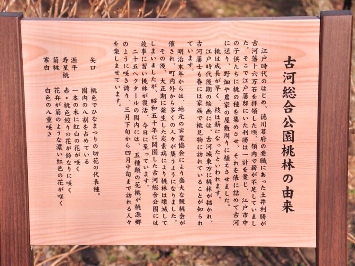 石川遼が腕を磨いたゴルフ場の周辺はどんな場所？大人のゴルフ旅のススメ