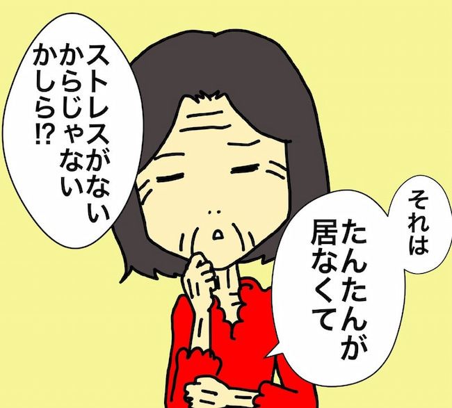 母の認知症介護日記／ワフウフ
