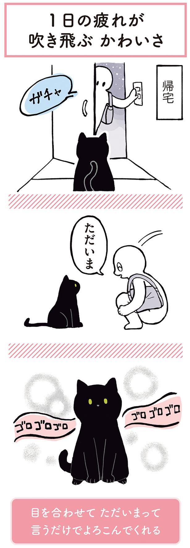 よろこんでくれる （C）AKR／KADOKAWA