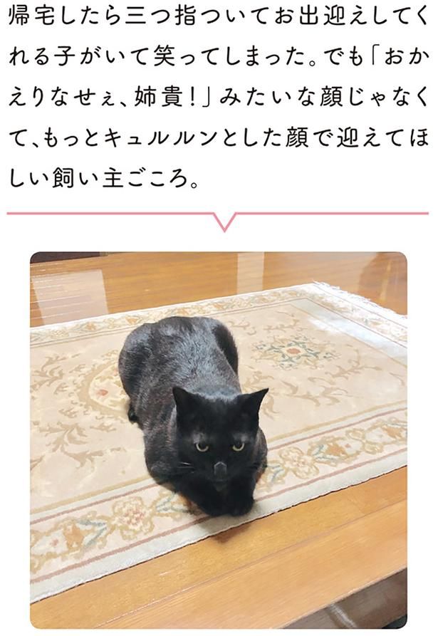帰宅したら三つ指ついてお出迎えしてくれる子がいて笑ってしまった （C）AKR／KADOKAWA