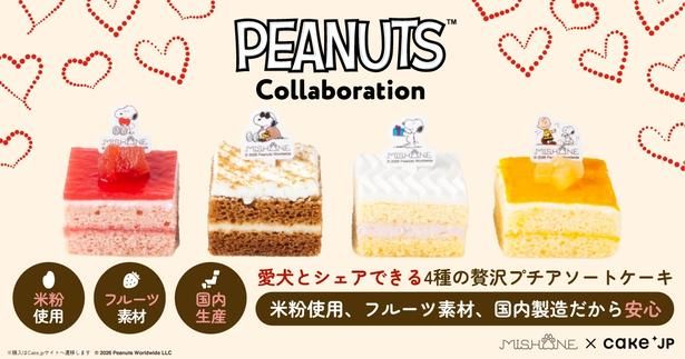 スヌーピーのケーキを愛犬とシェアできる！「ミシュワン」のプチケーキは「Cake.jp」から注文を