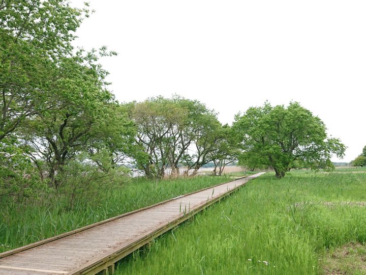 ファミリーでラウンドするゴルファーにオススメ！広大な花畑に癒されよう