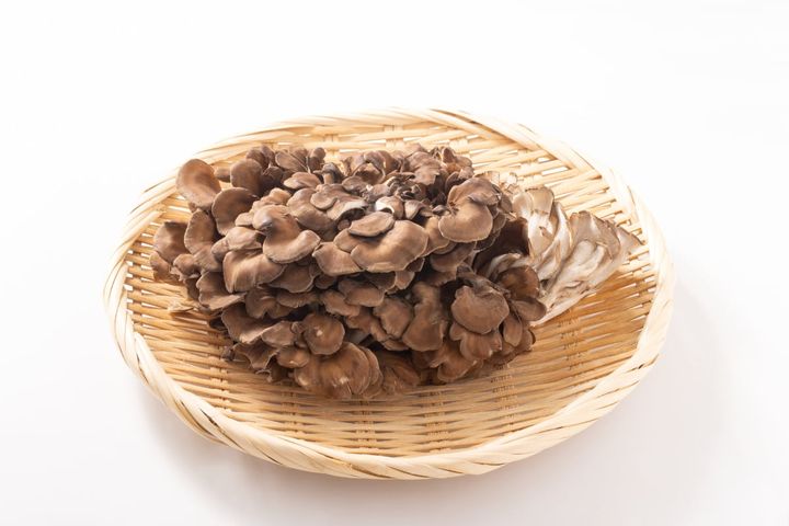 マイタケを上手に冷凍保存するコツは？