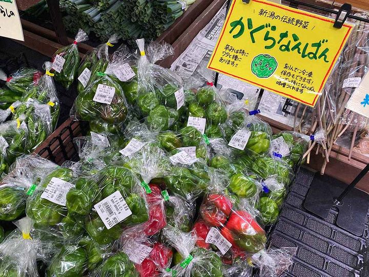 新潟県長岡市の伝統野菜「かぐら南蛮」