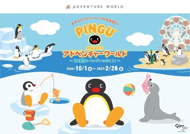 「PINGU(TM) meets アドベンチャーワールド〜10種類のペンギンに会える！〜」メインビジュアル。ピングーたちの周りにアドベンチャーワールドのペンギンたちが集合